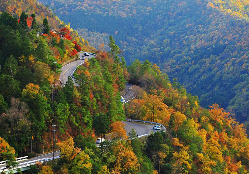 嵐山高雄パークウエイ