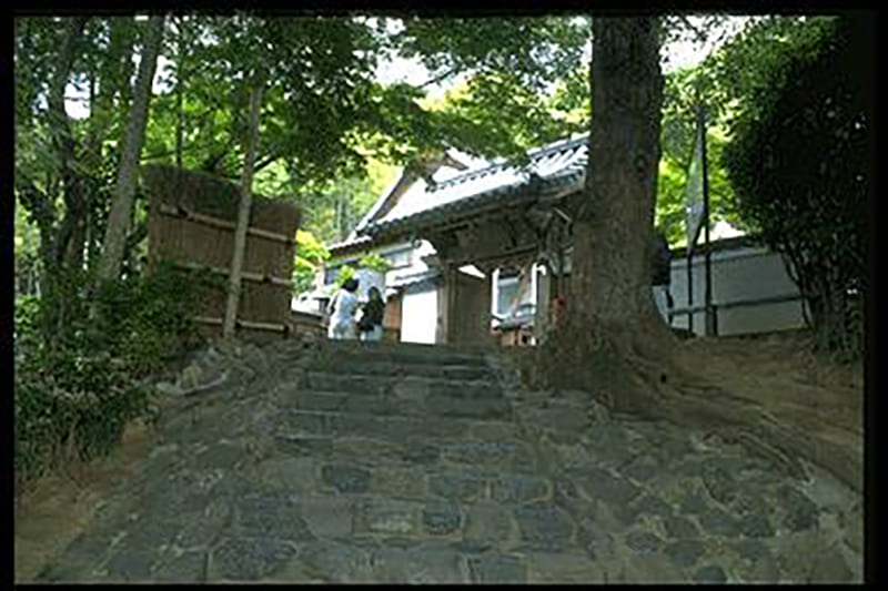 鈴虫寺