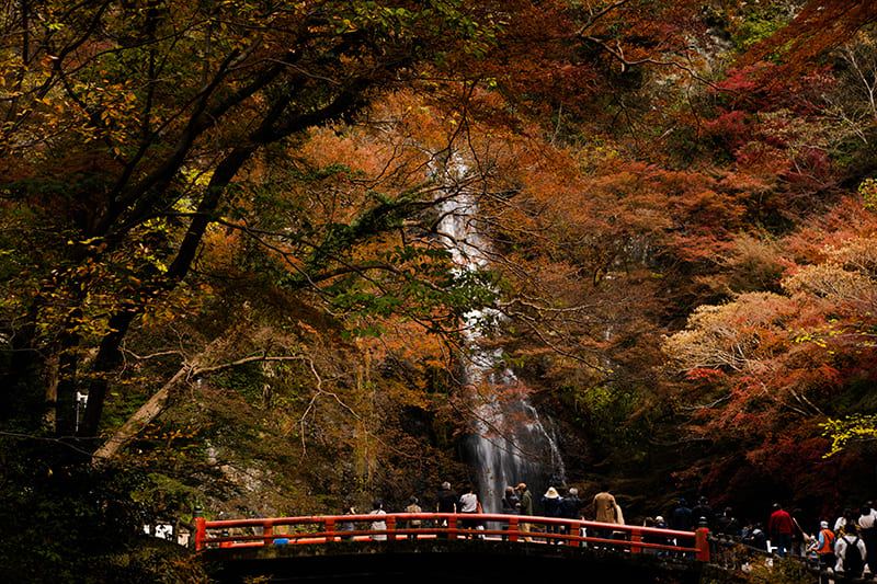 Minoh Falls