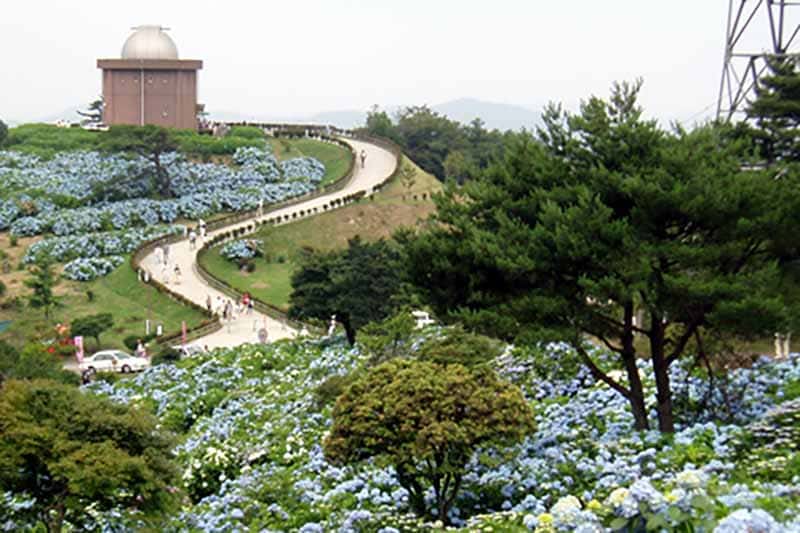 오노산
