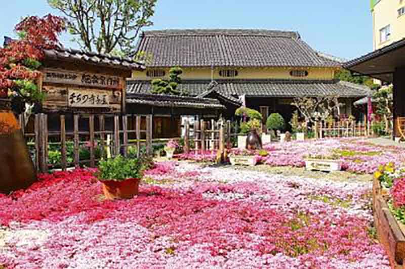 เมืองนิชิวากิ