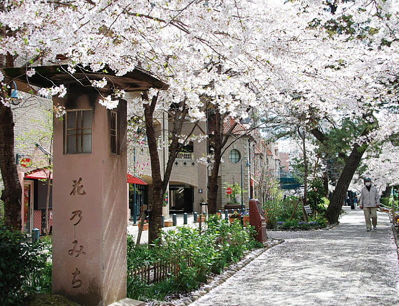 ฮานะโนะมิจิ (สถานีทาคาระซึกะ – โรงละครทาคาระซึกะแกรนด์เธียเตอร์)