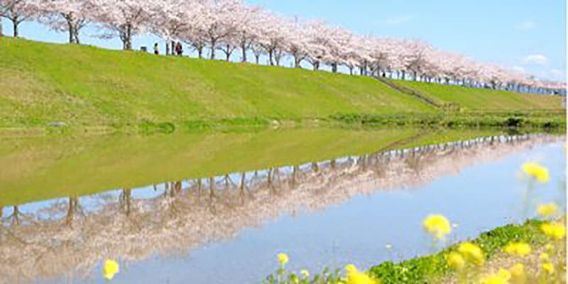 เมืองโอโนะ