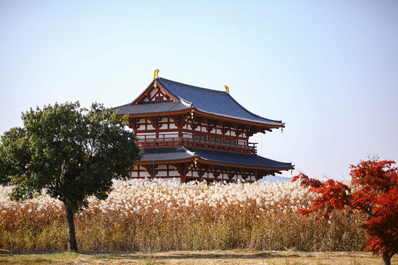 平城宮跡歴史公園
