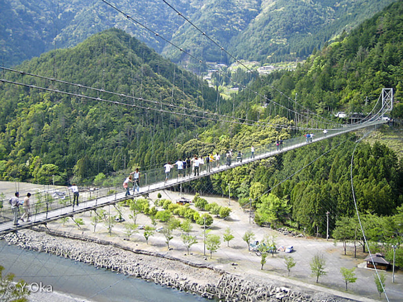 谷瀬の吊り橋