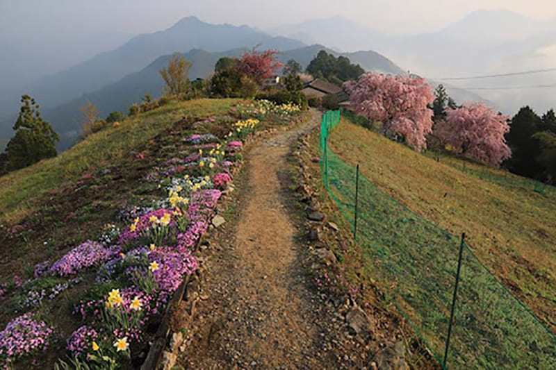 熊野古道・果無集落