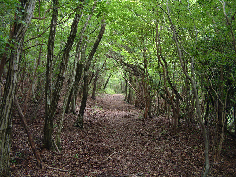熊野古道 大辺路