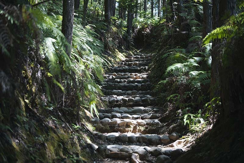 熊野古道 中辺路