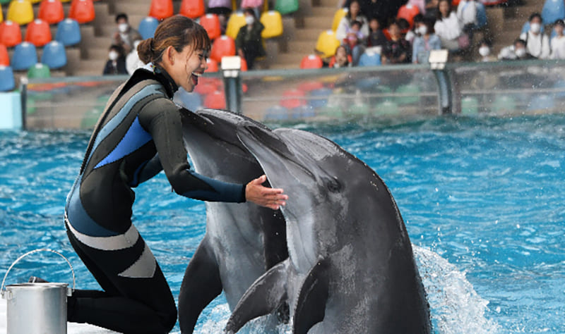 アドベンチャーワールド