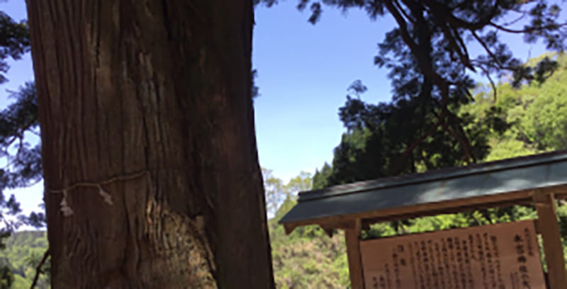 本宮神社