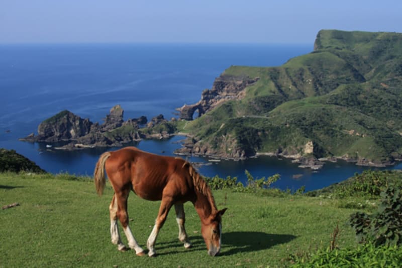西ノ島町