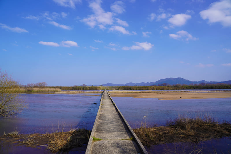 斐伊川（井上橋）