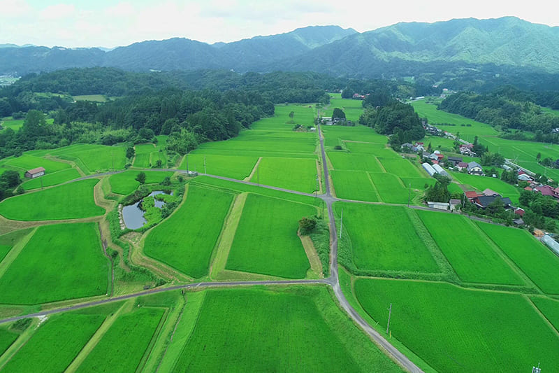 福頼棚田展望台