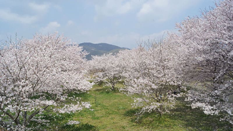 百間川せせらぎ広場