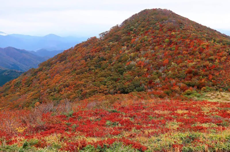 比婆山