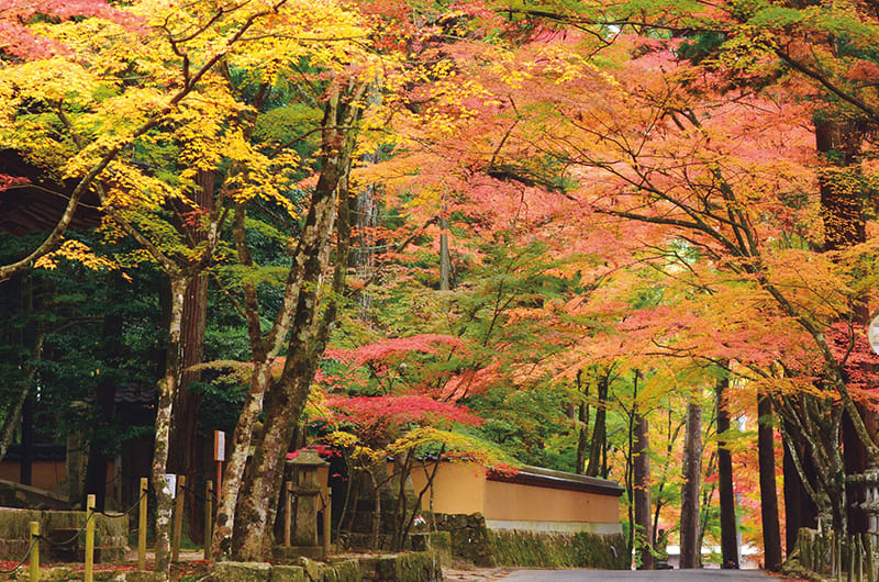 佛通寺