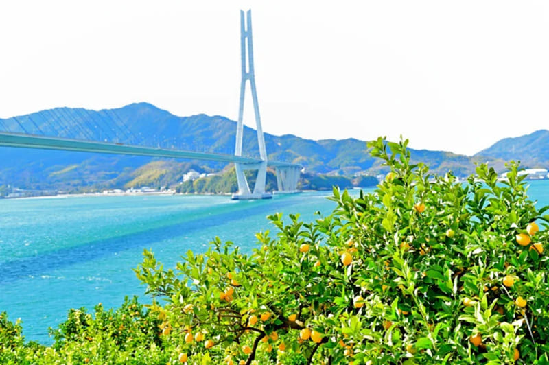 生口島