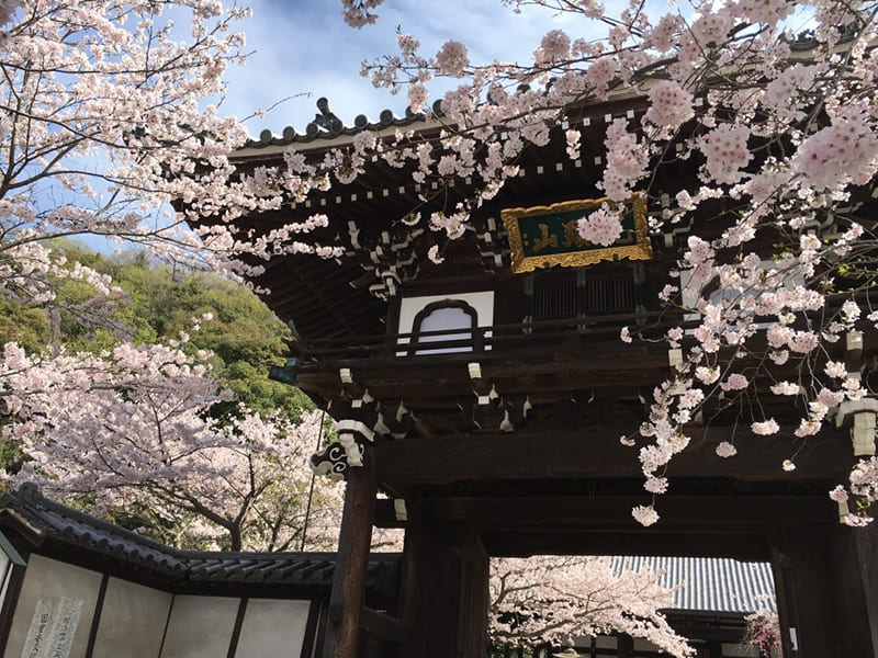 照蓮寺