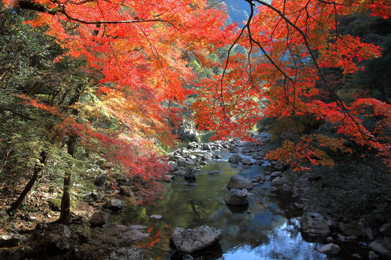 山野峡