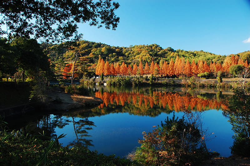 鏡山公園