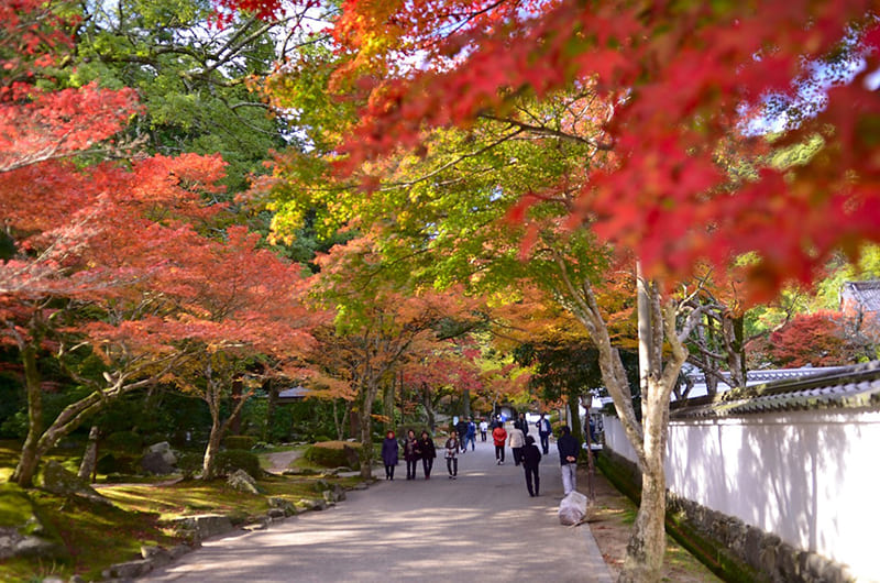 紅葉谷公園