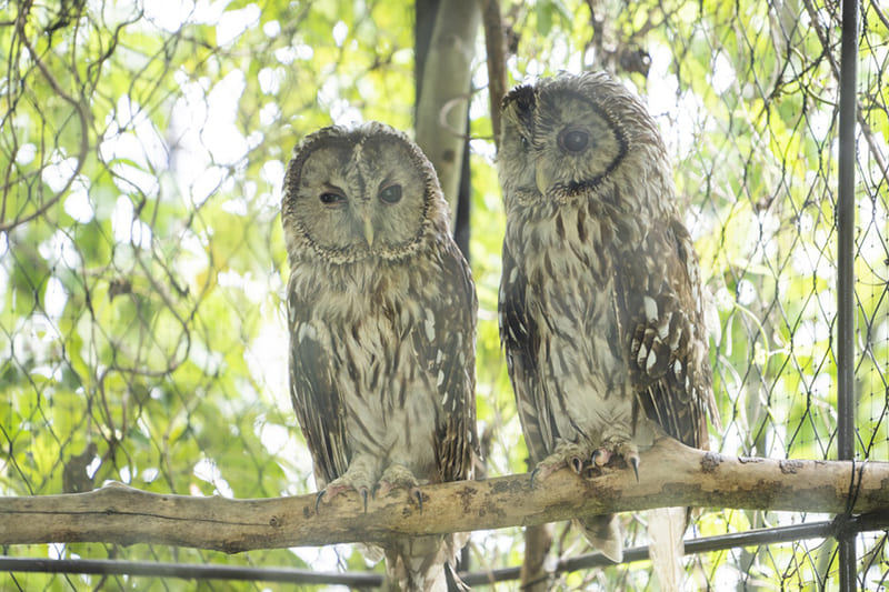ときわ動物園