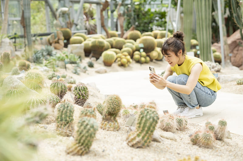 世界を旅する植物館