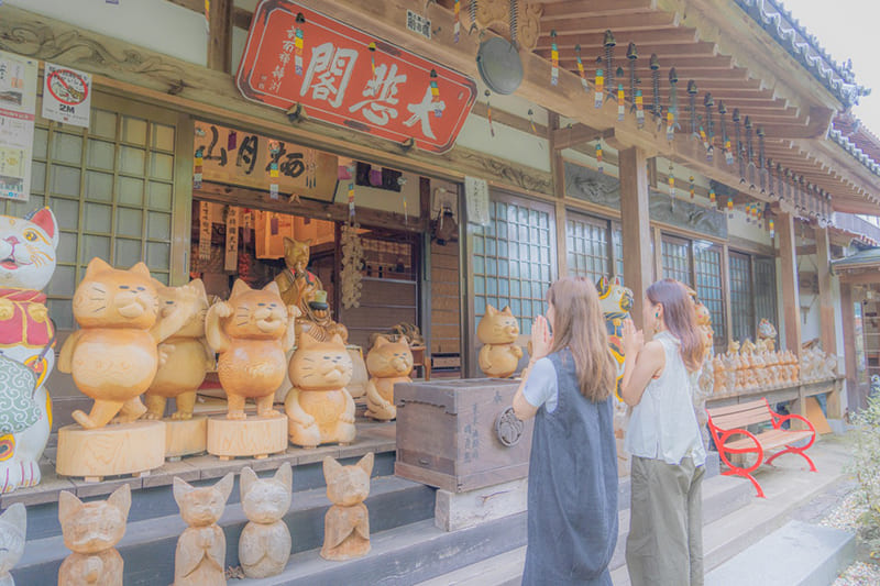 雲林寺(ネコ寺)