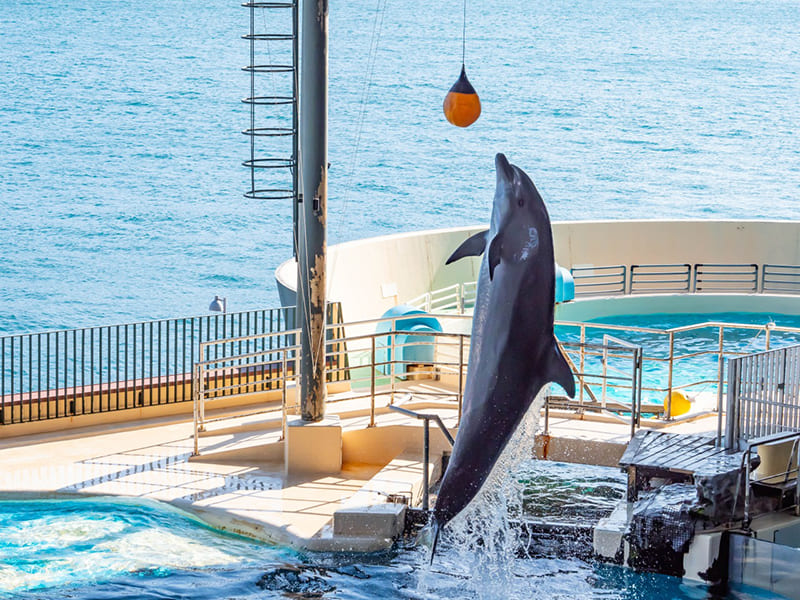 市立しものせき水族館（海響館）