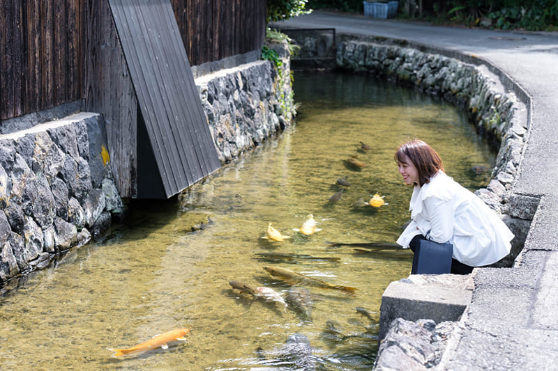藍場川
