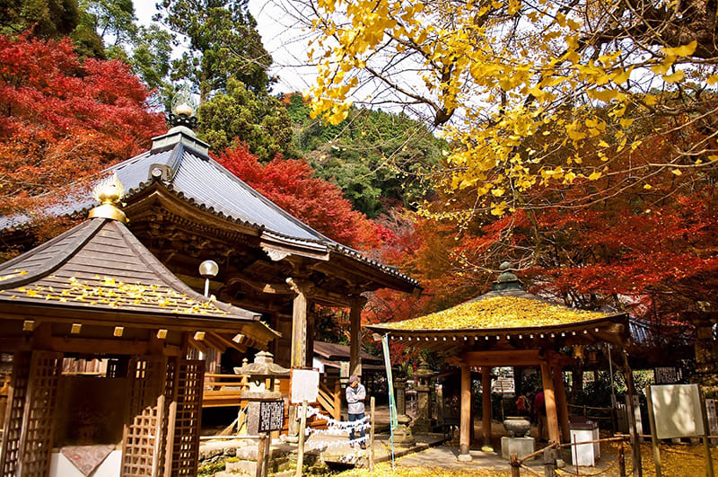 龍蔵寺