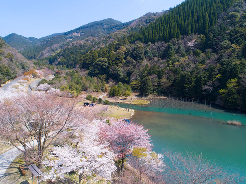 一の俣桜公園