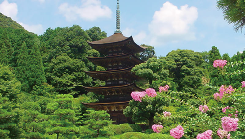 山口市