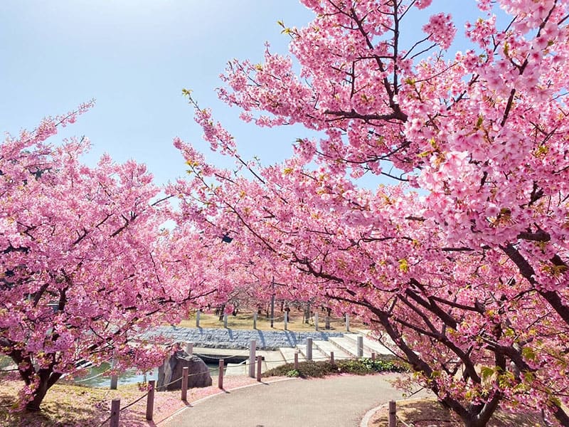 親水公園
