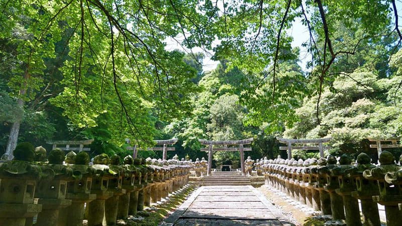 霊椿山 大照院