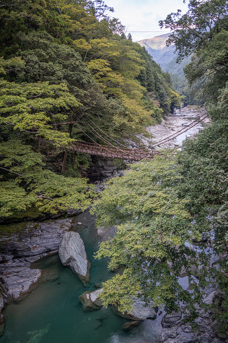 祖谷のかずら橋