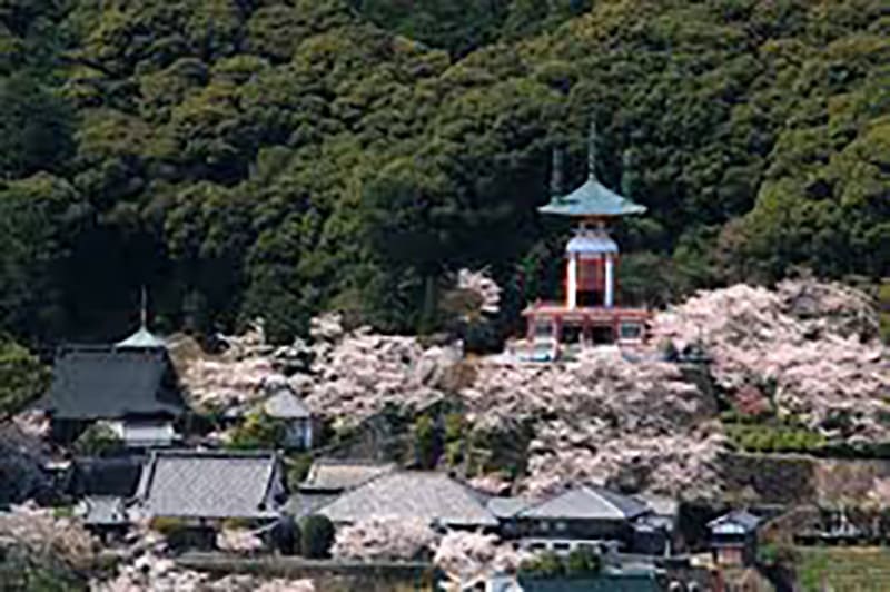薬王寺
