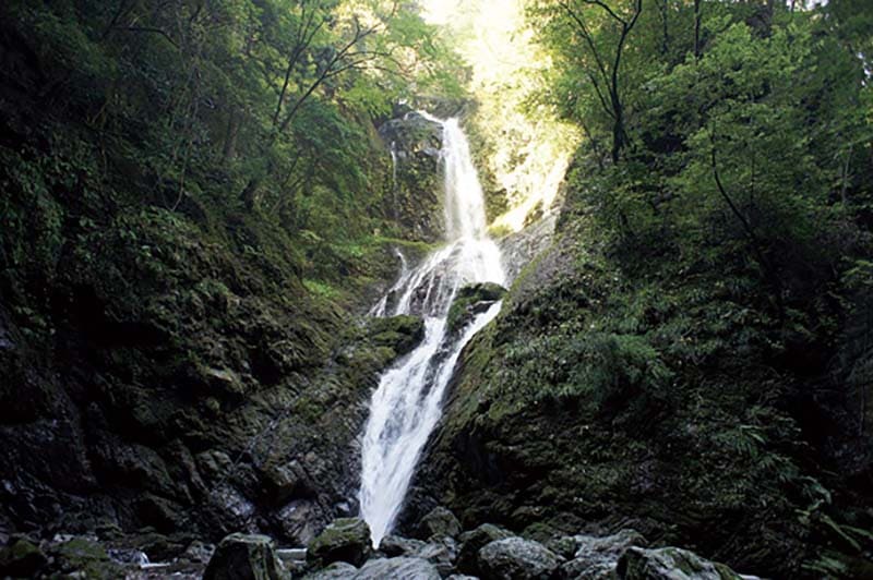 神山町