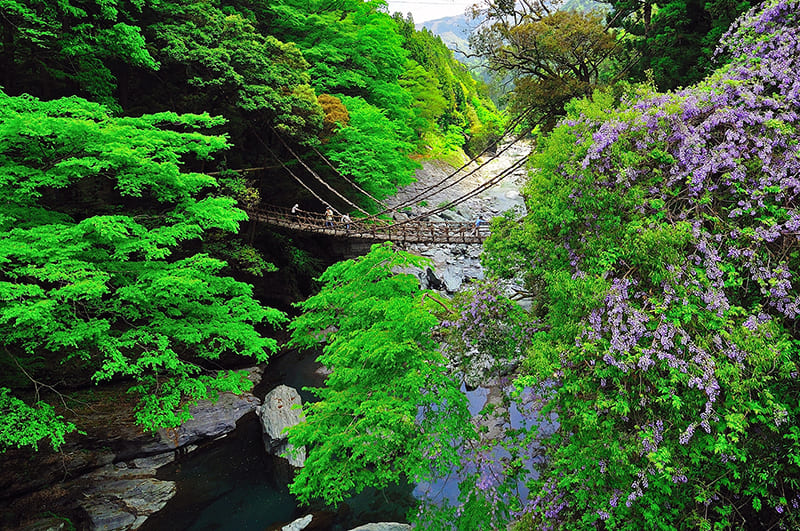 西祖谷山村