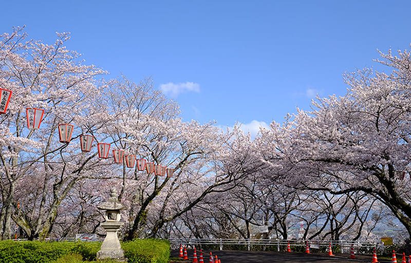 西部公園