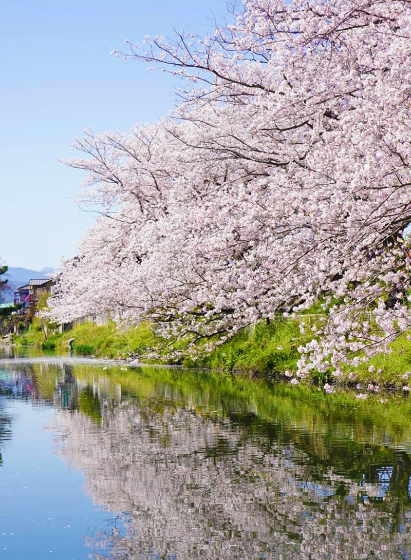 袋井用水