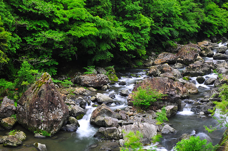 勝浦川