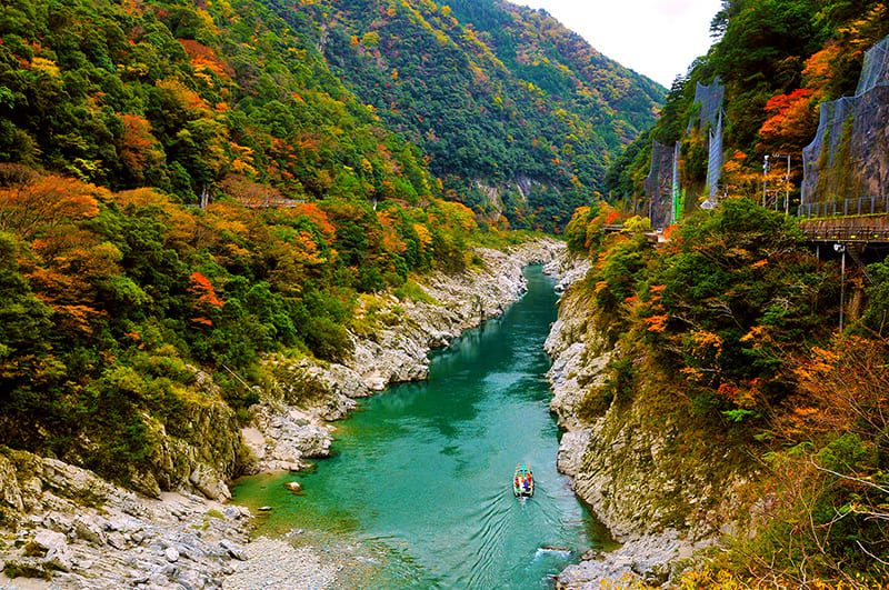 大歩危峡・小歩危峡