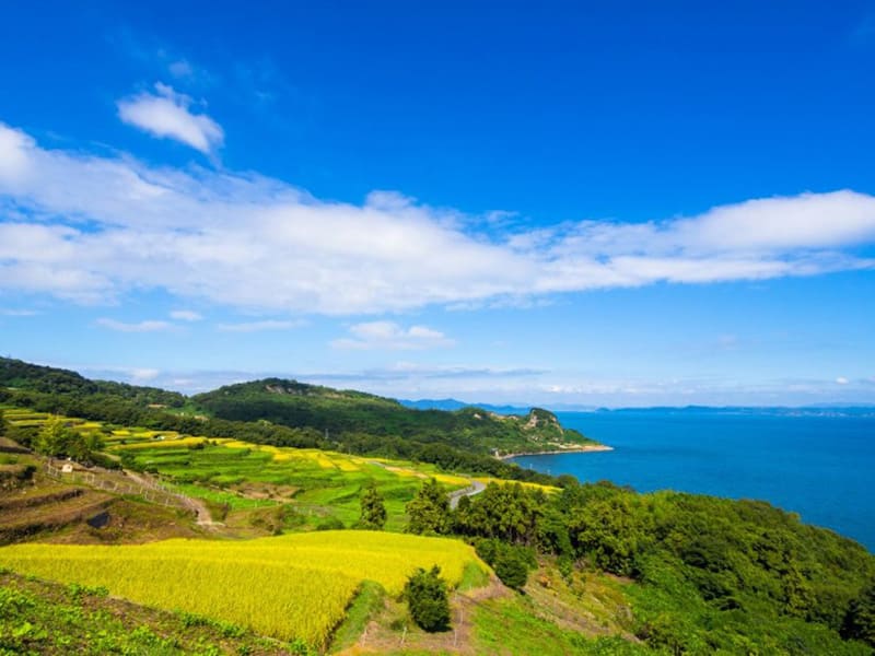 豊島