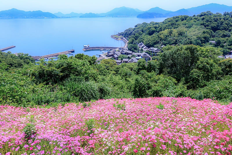 志々島