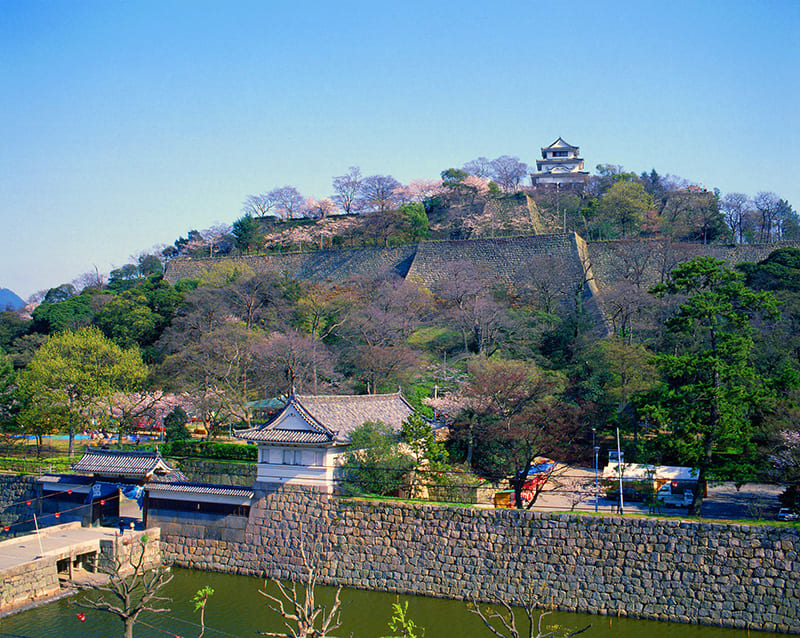 丸亀市