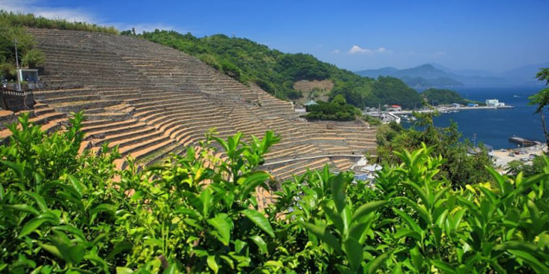愛媛県 南予エリア