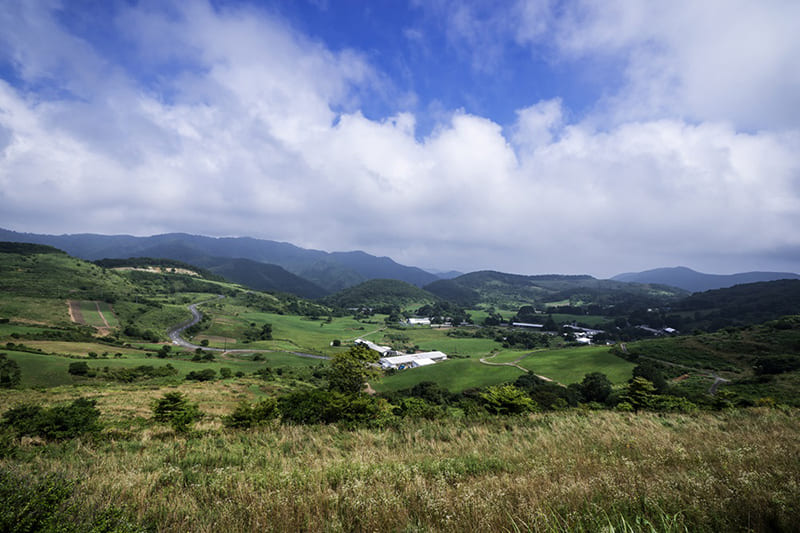 大野ヶ原