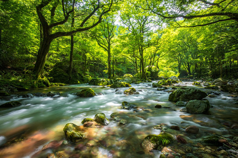 小田深山渓谷