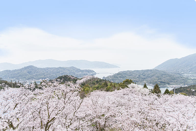 開山公園